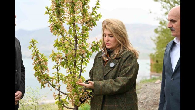 Milletvekili Ölmeztoprak: "Yaraları hep birlikte saracağız"