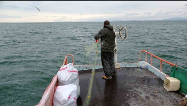 Van Gölü'nde son ağlar çekildi: İnci kefali av yasağı başladı