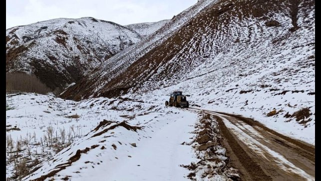 Van'da karla mücadele çalışması: 40 yol ulaşıma kapandı