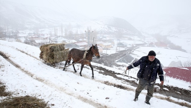 Meralar beyaza bürününce koyun ve kuzular yeniden ağıllara döndü