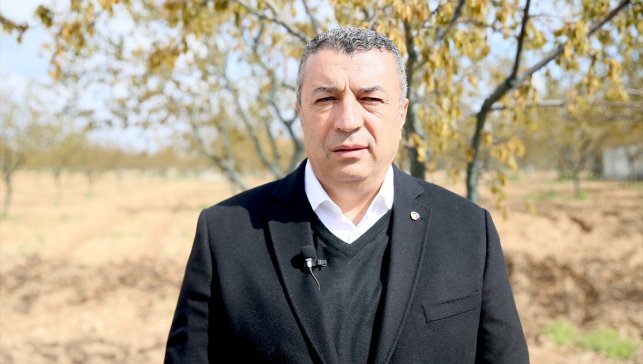 Zirai donun büyük zarara yol açtığı kayısıda destek beklentisi