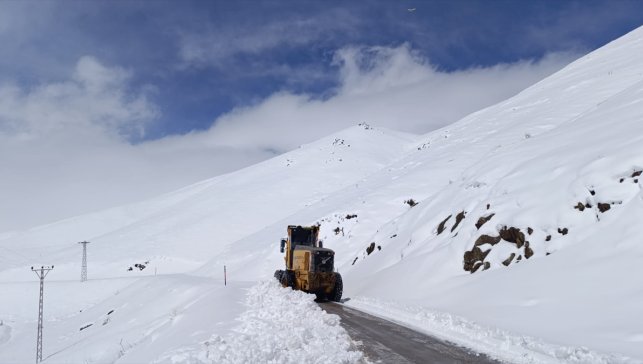 Hakkari ve Muş'ta kardan kapanan yollar açıldı