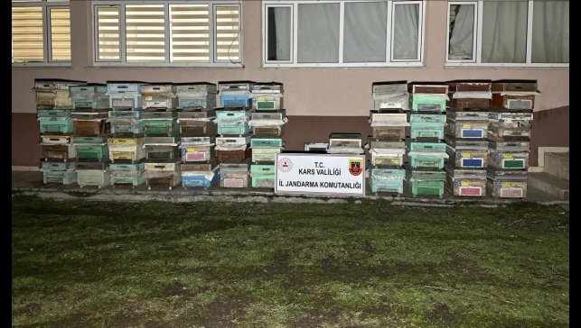 Kağızman'da arı kovanı hırsızları yakalandı