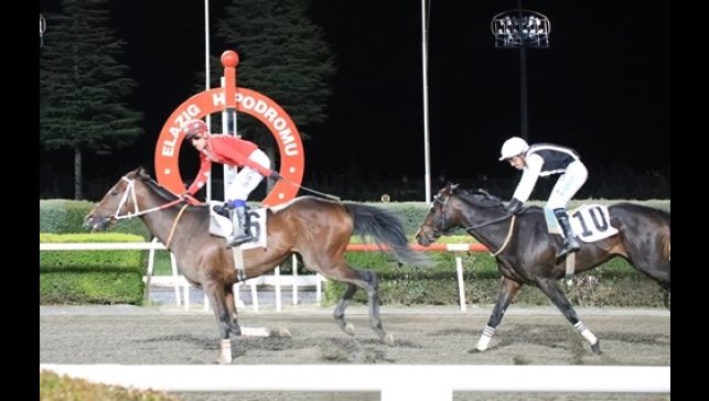 Elazığ Belediye Başkanlığı koşusunda zafer Drop'un