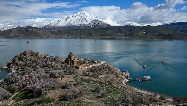 Baharın tonlarına bürünen Akdamar Adası "Badem Çiçeği Festivali"ne hazırlanıyor