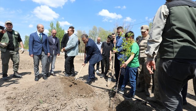 Iğdırlı hayırsever Birsen Aktaş'ın talebiyle kurak alanda hatıra ormanı oluşturuldu