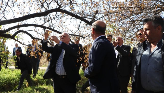 TZOB Genel Başkanı Bayraktar, Elazığ'da zirai dondan etkilenen bahçeleri inceledi