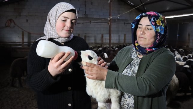 Erzincanlı anne ile kızı devlet desteğiyle koyun sayılarını 100'den 900'e çıkarttı