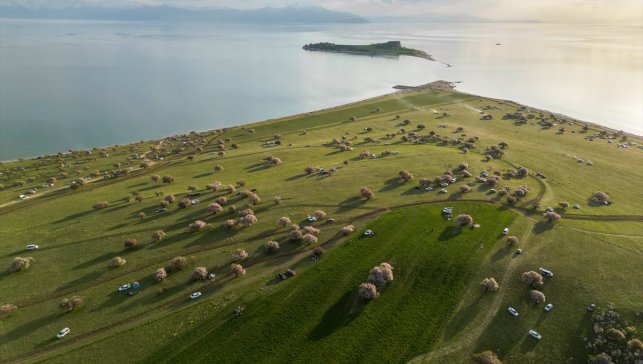 Çiçek açan ağaçlarla renklenen Çarpanak Yarımadası doğaseverlerin ilgisini çekiyor
