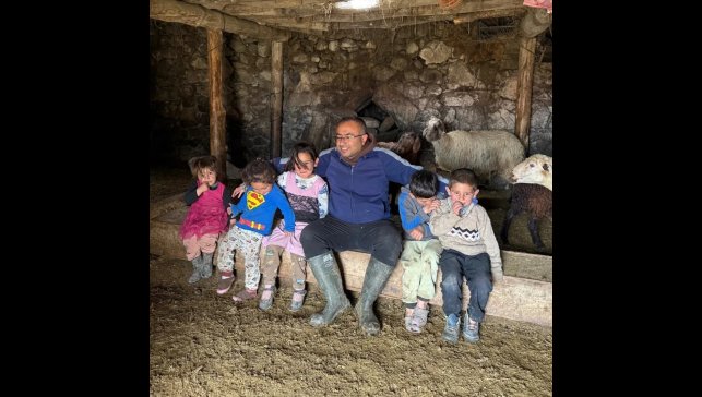 Diyadin'de büyükbaş hayvanlar için aşılama ve küpeleme seferberliği