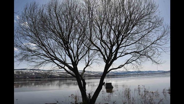 Ardahan ovası nehrin taşmasıyla yeniden sular altında kaldı