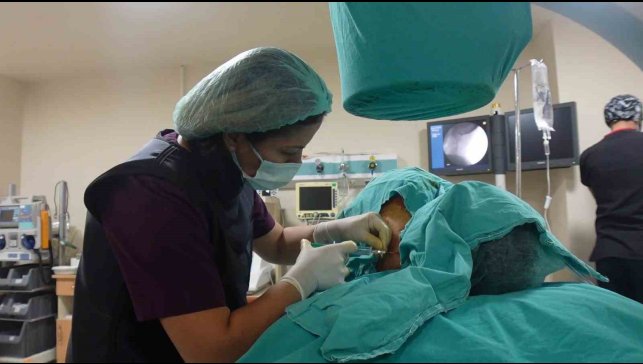 Doç. Dr. Sibel Özcan: ''Kronik ağrı çözümsüz değildir''