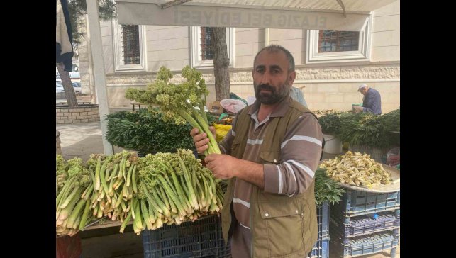 Şifa deposu ışkın, tezgahtaki yerini aldı