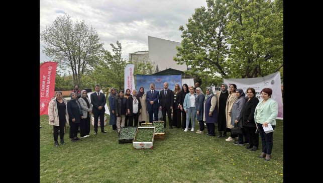 Iğdır'da kadın çiftçilere fide dağıtımı yapıldı