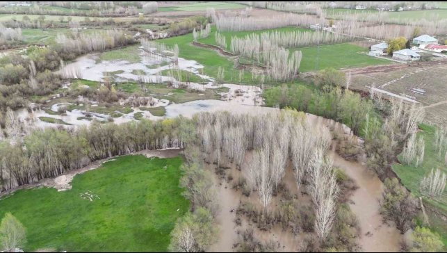 Ağrı'da dere taştı, tarım arazileri su altında kaldı