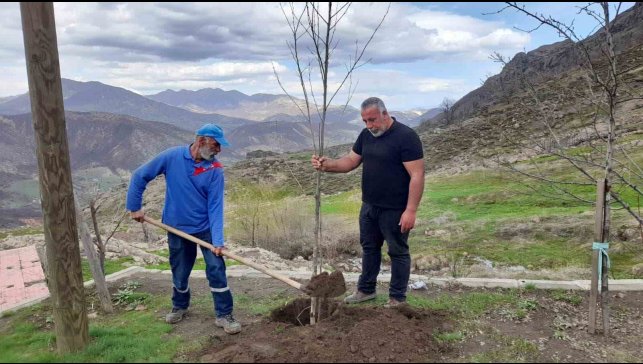 Kendisi yurt dışında ancak her yıl memleketine ağaç diktiriyor