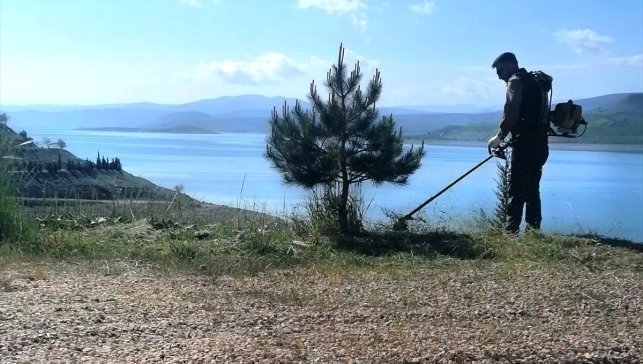 Ağın'da çevre düzenlemesi ve yabani ot temizliği