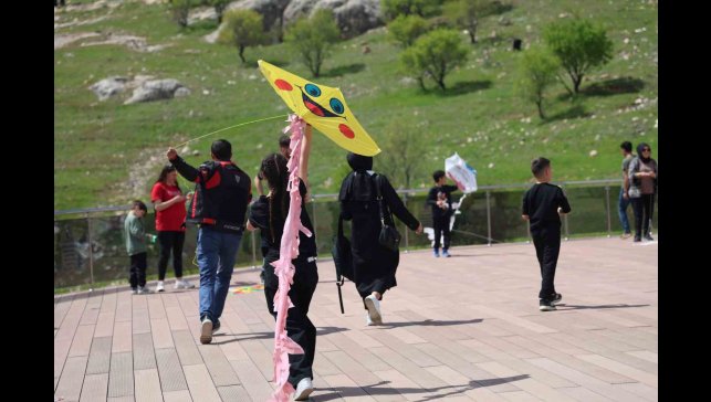 Elazığ'da uçurtma şenliğinde renkli görüntüler oluştu