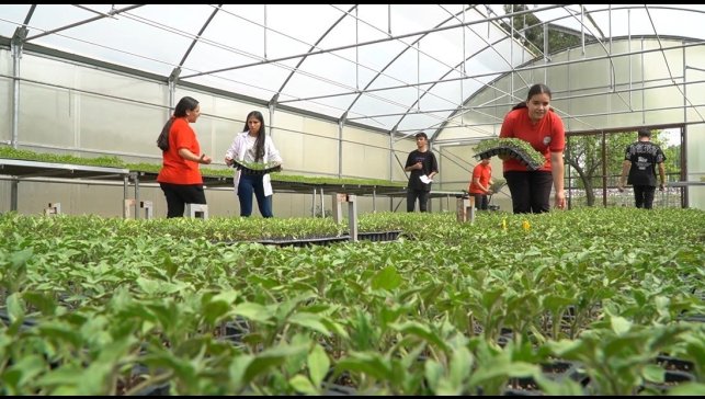 Tarım bölümü öğrencileri, serada teorik eğitimlerini uygulama fırsatı buluyor