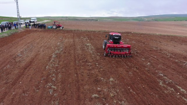 Ağın leblebisi nohudunun organik üretimi için kimyasal gübre yerine bakteri kullanılacak