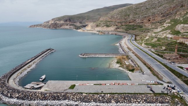 Öğrenci ve vatandaşlar Van Gölü sahilinde temizlik yaptı