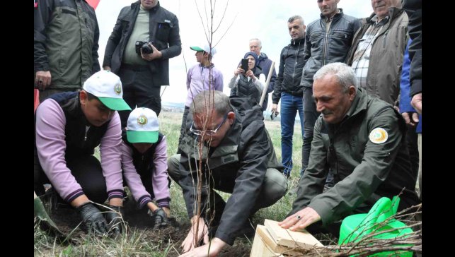 Kars'ta meyve ağaçları toprakla buluştu