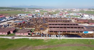 HÜDA PAR Ağrı İl Başkanı Yılmaz, kurban piyasasını yerinde inceledi