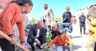 Doğubayazıt’ta “Orman Benim” Kampanyası Kapsamında Fidanlar Toprakla Buluştu