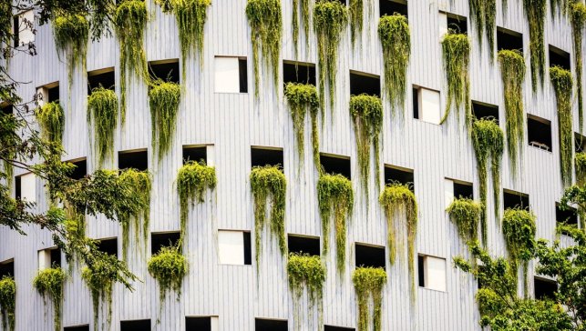 ING’nin iklim hedefleri, Bilimsel Tabanlı Hedefler Girişimi tarafından doğrulandı