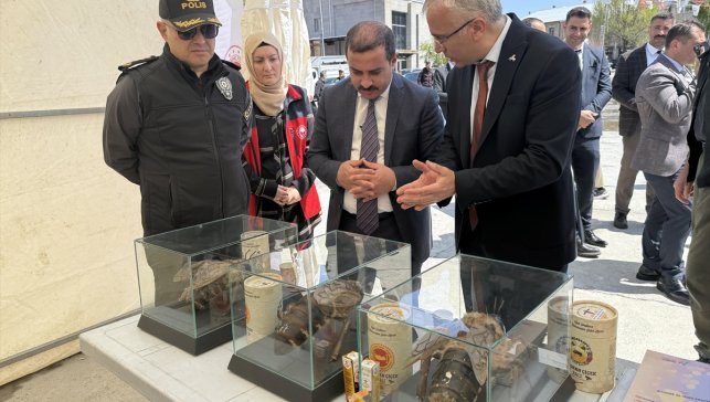 Ardahan'da "Dünya Arı Günü" etkinliği düzenlendi