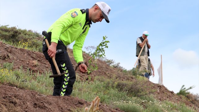 Erzurum'da TBMM'nin 105'inci yılı anısına 105 bin fidanın dikimine başlandı