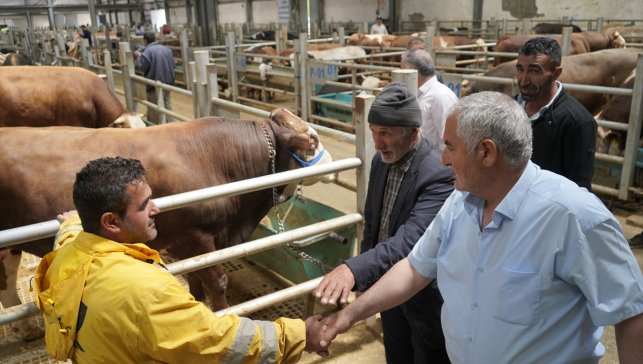 Doğu Anadolu Canlı Hayvan Borsası'nı 5 yılda 2 milyon kişi ziyaret etti