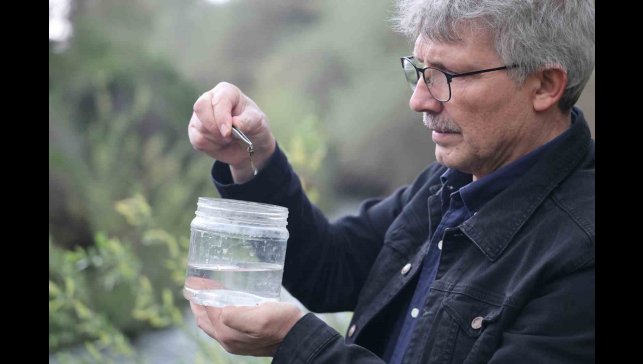 Fırat Üniversitesinden bilim dünyasına katkı: Elazığ'da yeni sülük türleri keşfedildi