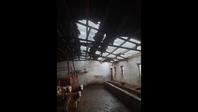 Elazığ'da etkili olan fırtına ahırın çatısını uçurdu