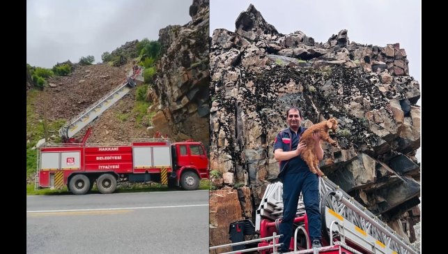 Hakkari'de kayalıklarda mahsur kalan keçi yavrusu kurtarıldı
