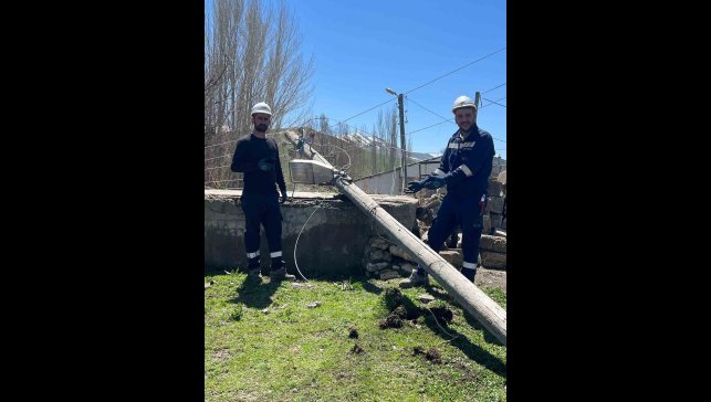 Karayazı'da hortum ve fırtına enerji hatlarını vurdu