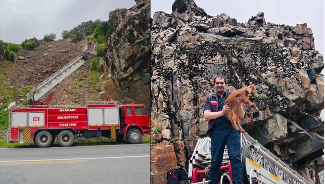 Çukurca'da kayalıklarda mahsur kalan oğlak, itfaiye ekibince kurtarıldı