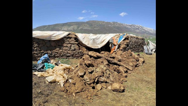 Bingöl'de fırtına ve sağanak nedeniyle ahır çöktü