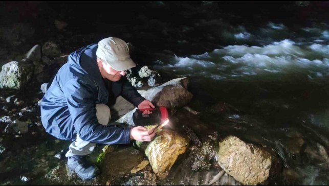 İnci kefalinin gece yolculuğu başladı