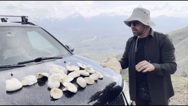 Dağlarda kendiliğinden yetişiyor, kilosu bin 250 TL'den satılıyor