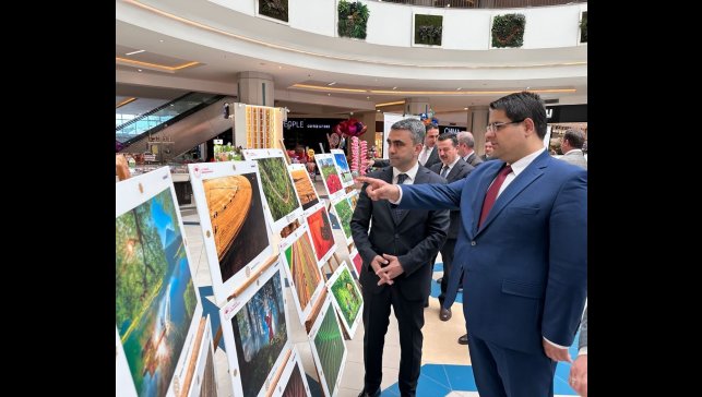 Tarım, orman ve insan fotoğraflarda buluştu