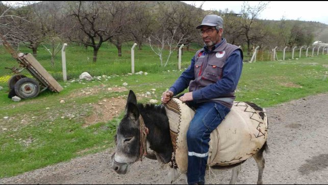 Malatyalı yetiştirici, eşeği Kadife'ye gözü gibi bakıyor