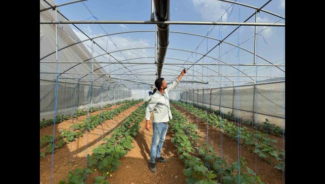 Derecik'te şiddetli fırtına: Seralarda maddi hasar oluştu