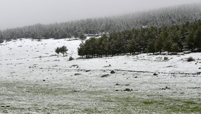 Sarıkamış'ın zirveleri karla kaplandı