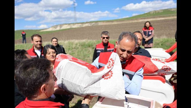 Kars'ta yağlık ayçiçeği üretimi artıyor