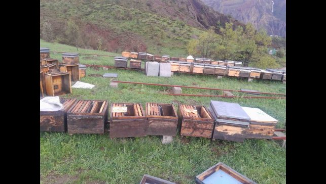 Tunceli Arı Yetiştiricileri Birliği Başkanı Doğan, "Fırtınadan zarar gören arıcılar TARSİM'e başvurmalı"