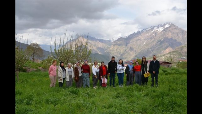 Hakkari'de kadın üreticilere safran yetiştiriciliği eğitimi
