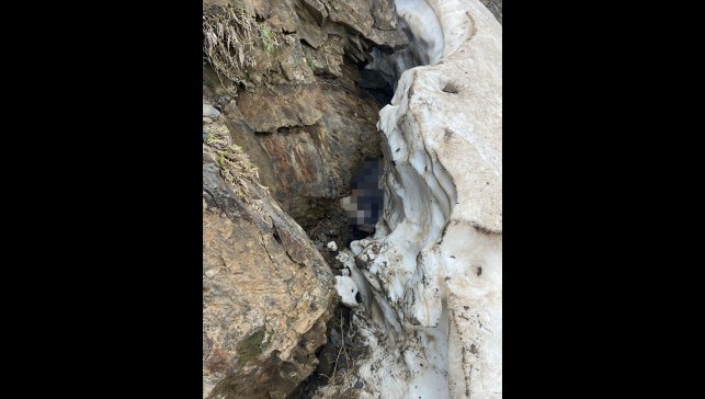 Bitlis'te pancar toplamak için dağa giden kadın ölü bulundu