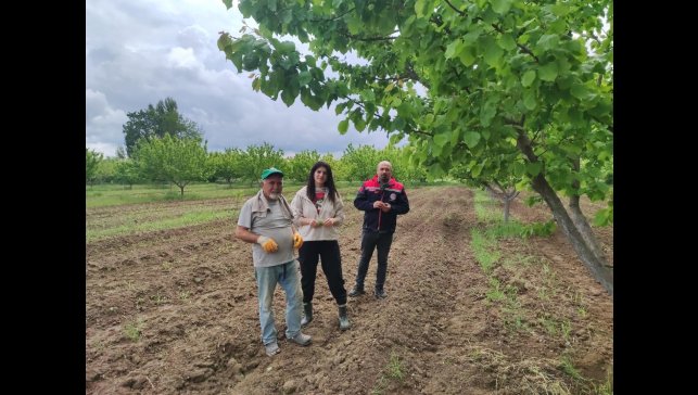 Mühendisler kayısı hastalıkları ve zararlılarına ilişkin gözlemde bulundular