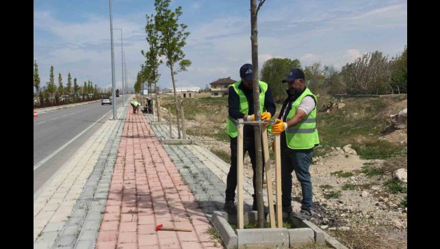 Van Büyükşehir Belediyesinden sahil yolunda çalışma